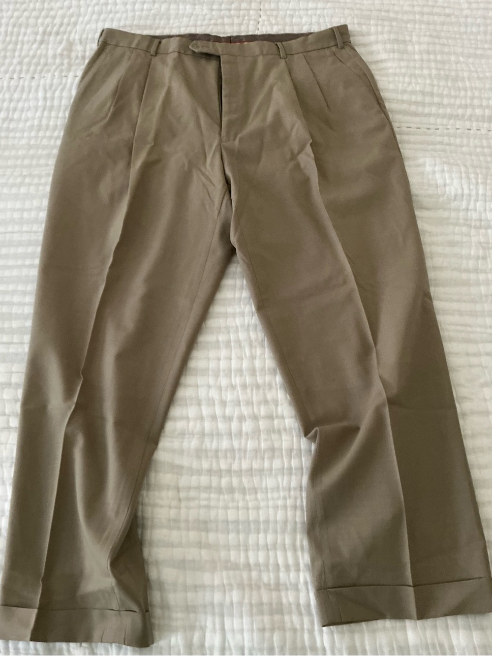 Men's Tailored Pleated Dress Pants in Taupe